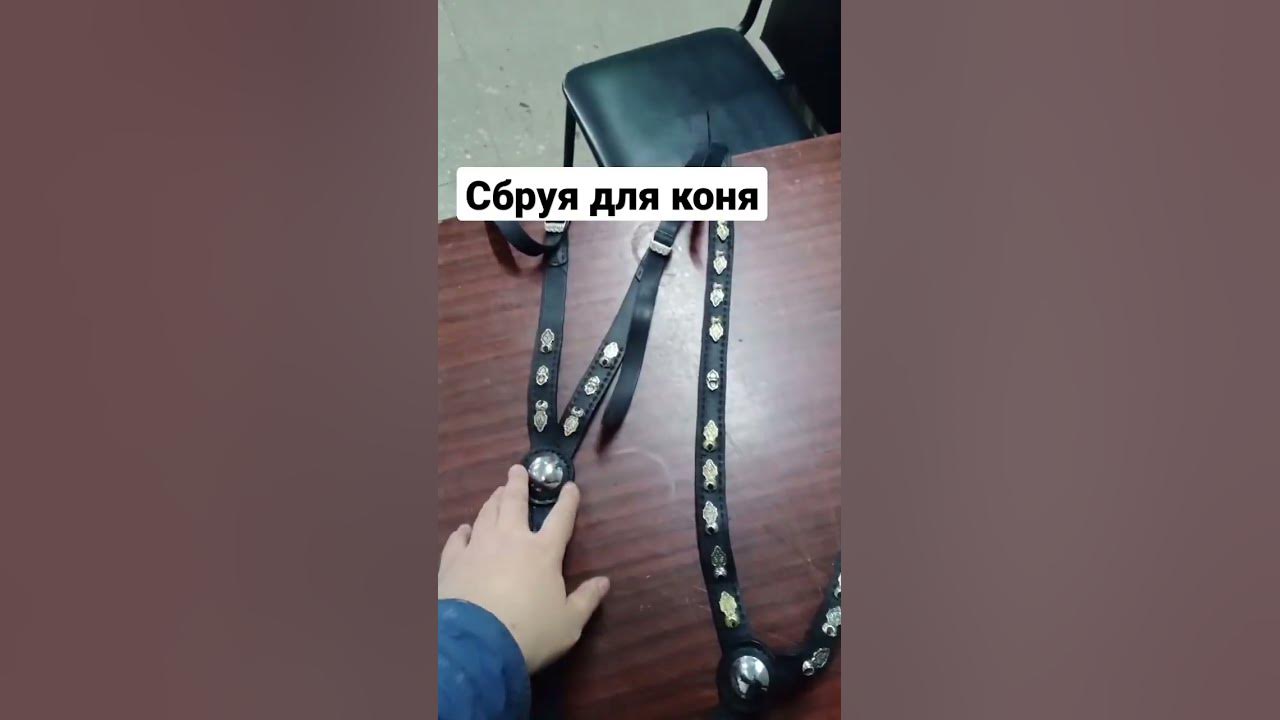 Сбруя для коня - YouTube