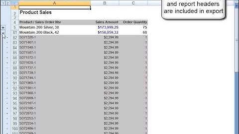 SSRS - Excel Unformatted Export