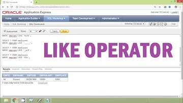 Oracle Tutorial - Like Operator
