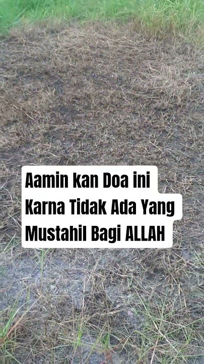 Tidak ada yang mustahil Bagi Allah Swt #amalankebaikan #shortsvideo #kumpulanhadits #ayatalquran