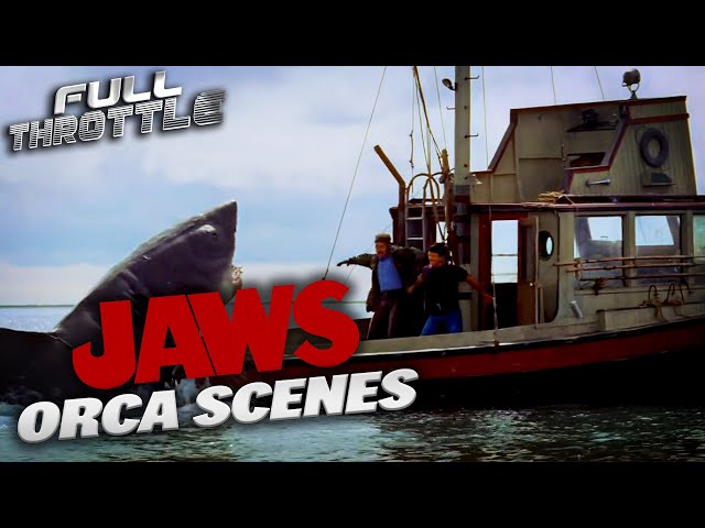You're Gonna Need A Bigger Boat