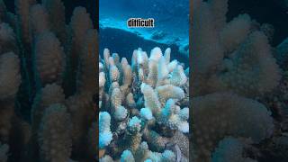 Very Difficult To Spot But We Found Him.