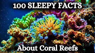 100 Facts About Coral Reefs To Fall Asleep To | Calming Sleep Documentary