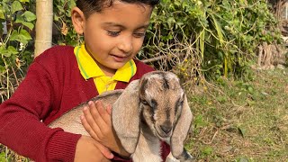 Yurom Sarswati Puja School Vlog Sweet Moment