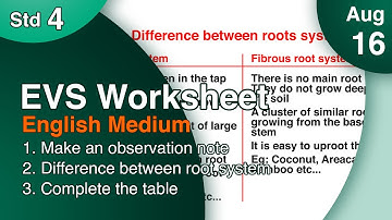 Class 4 EVS Worksheet English Medium August 16 itsvicters