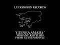 Guinea amada vibrant rhythms from guineabissau  luckyrobin records  vinyl only