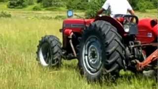 Download Massey Ferguson 260 Gold Video MP3 Massey Ferguson 260 Gold