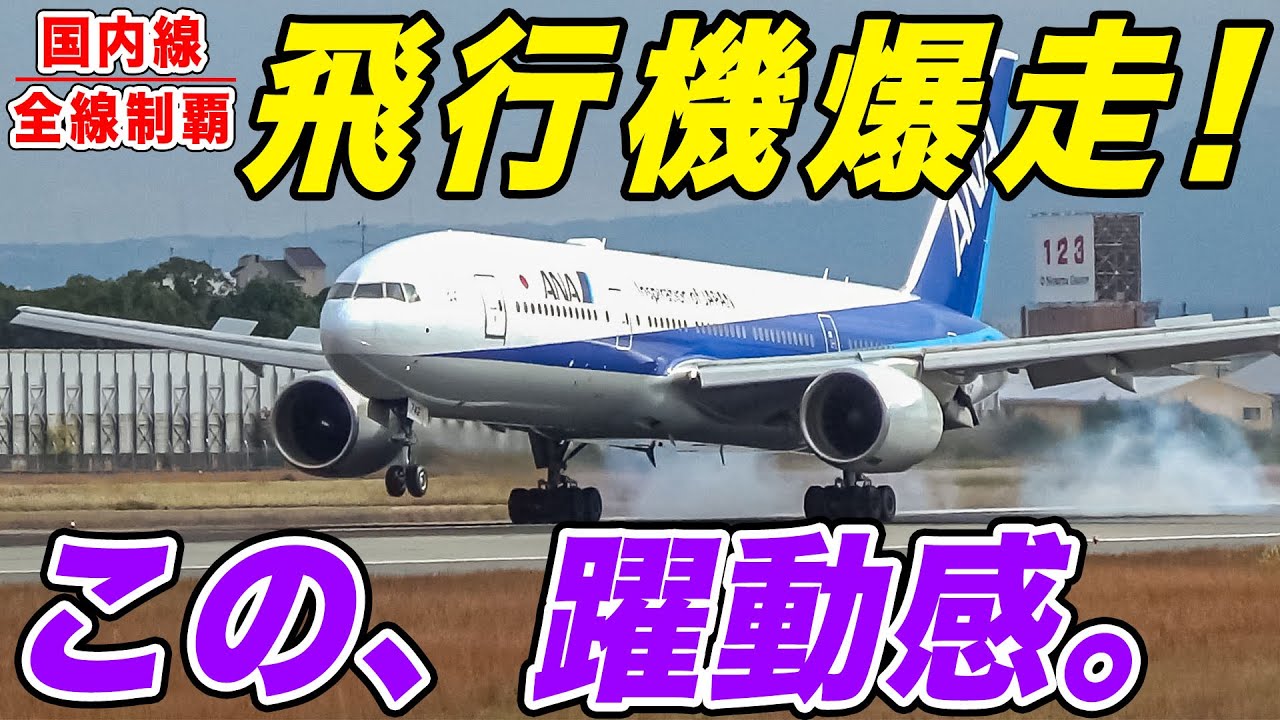 【大迫力！】滑走路のそばに公園が！飛行機が目の前を大爆走！伊丹空港・伊丹スカイパークで飛行機を堪能しまくる！[国内線制覇 スピンオフ]