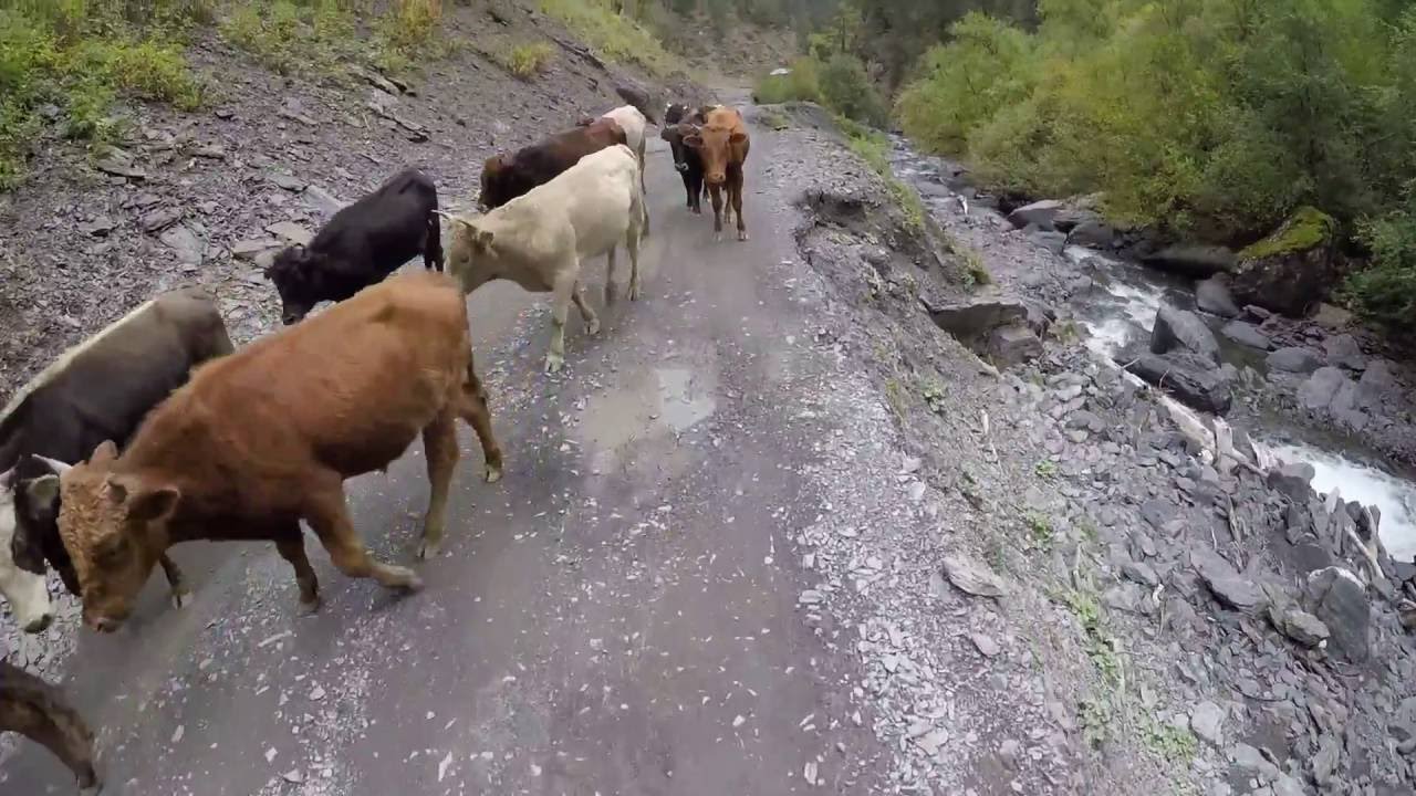 MTB Tour Georgia - Tusheti, Day 1 (