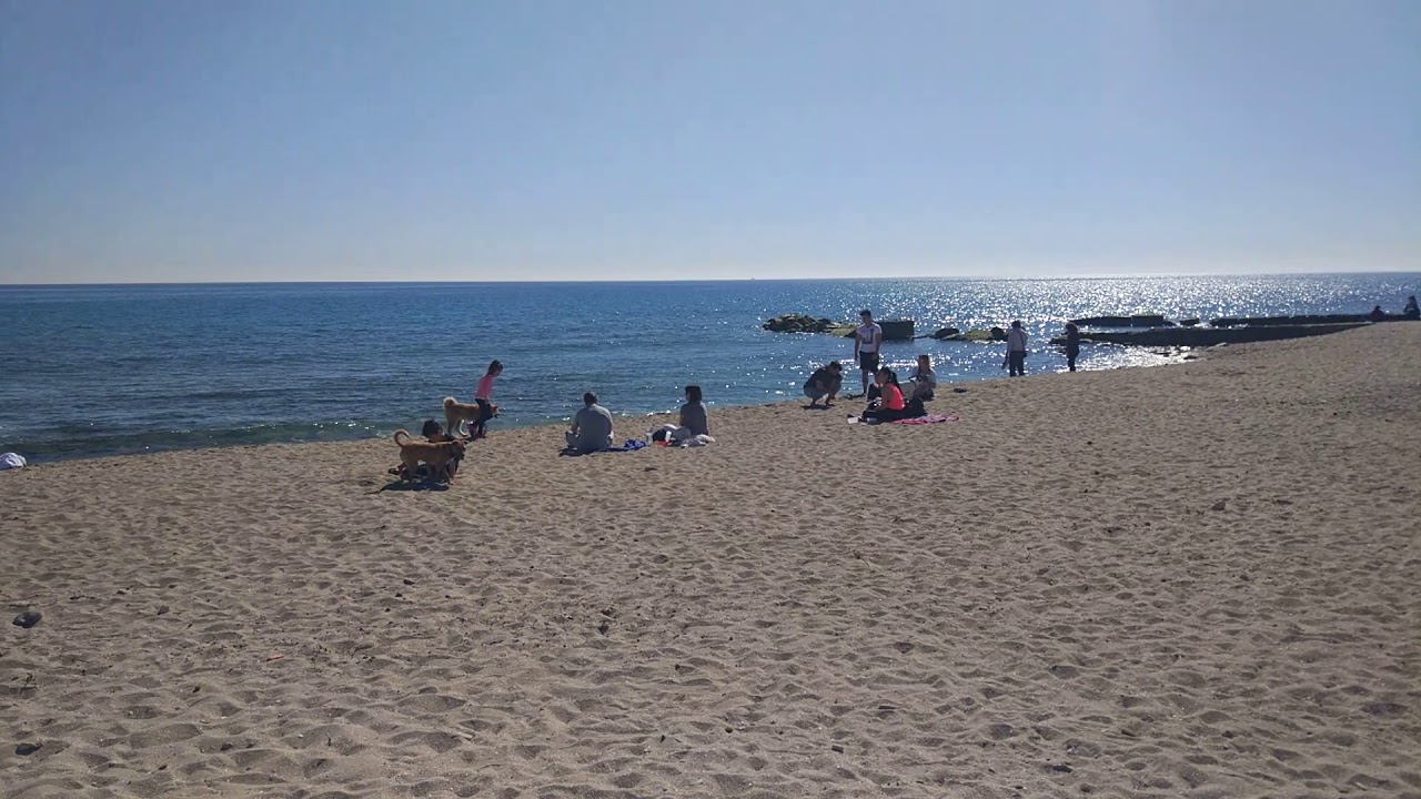 Playa para perros en Alicante. Agua amarga. - YouTube