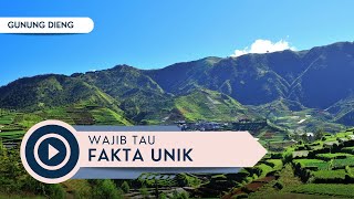 DAHSYAT!!! FENOMENA ALAM GUNUNG DIENG YANG SANGAT MEMANJAKAN MATA || Pesona Embun Upas