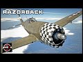 Bad MEAN KillingMACHINE! P-47D-22 RE Razorback! - USA - War Thunder Review!