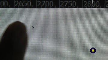 Bug Inside My LG Computer Monitor