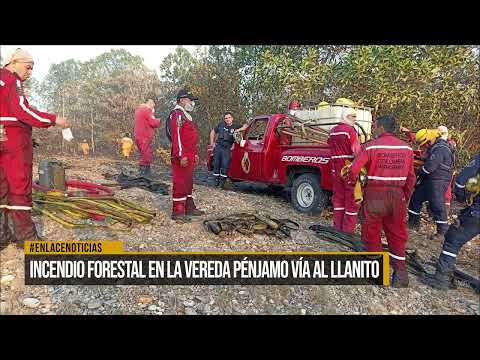 Incendio forestal en la vereda Pénjamo vía al Llanito