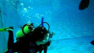 MVI_2593.AVI