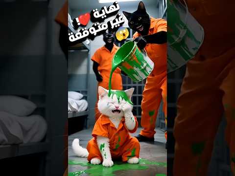 لماذا عذ بت القطط القطة الصغيرة