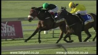 20161002 Scottsville Race 8 won by SWEET LADY JADE