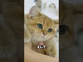 👆専業主婦でも月30万稼いだ方法をプレゼント🎁