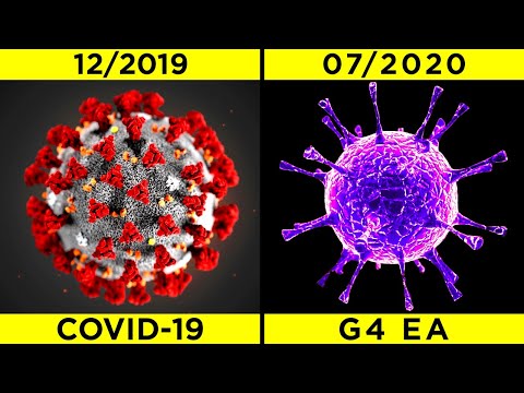 Video: Wie Das Neue Virus Gefunden Wurde