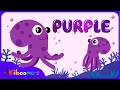 Meet the Color Purple Song - The Kiboomers Colors Songs for Preschoolers