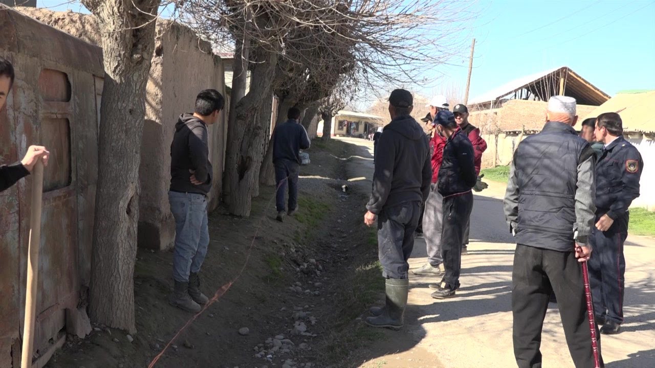 Чаврез гулистон мешавад