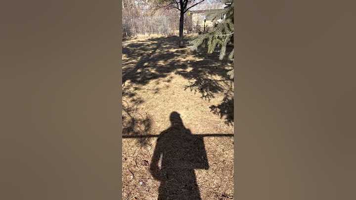 Bucket of Balls Helps Puppy Play Fetch With Neighbors || ViralHog