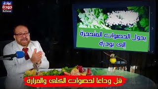 هذا النبات يخلصك من حصوات الكلى وحصوات المرارة وضبط سكر الدم - أسرار وفوائد الكرفس - دكتور جودة عواد