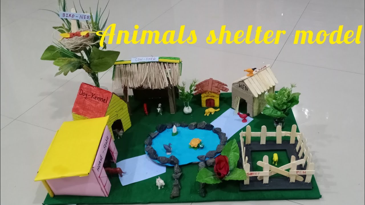 Animals and their shelter |Home's of animals |Best model for school ...