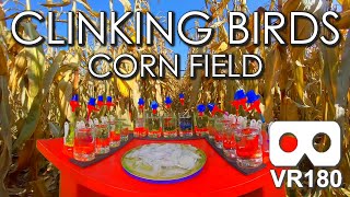 Clinking Birds Corn Field: An ASMR Virtual Reality Experience
