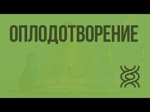 Оплодотворение. Видеоурок по биологии 10 класс