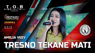 Download Lagu TRESNO TEKANE MATI ~ AMILIA VEEY ~ TOB MANAGEMENT LIVE PEMUDA PASOPATI MP3