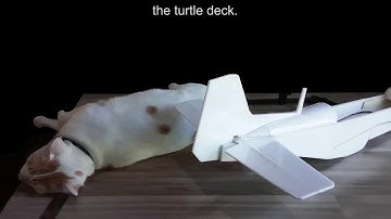 How to build P-51 RC plane-part 04-Polygon RC