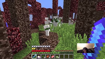 PANDORAS BOX! one command creation