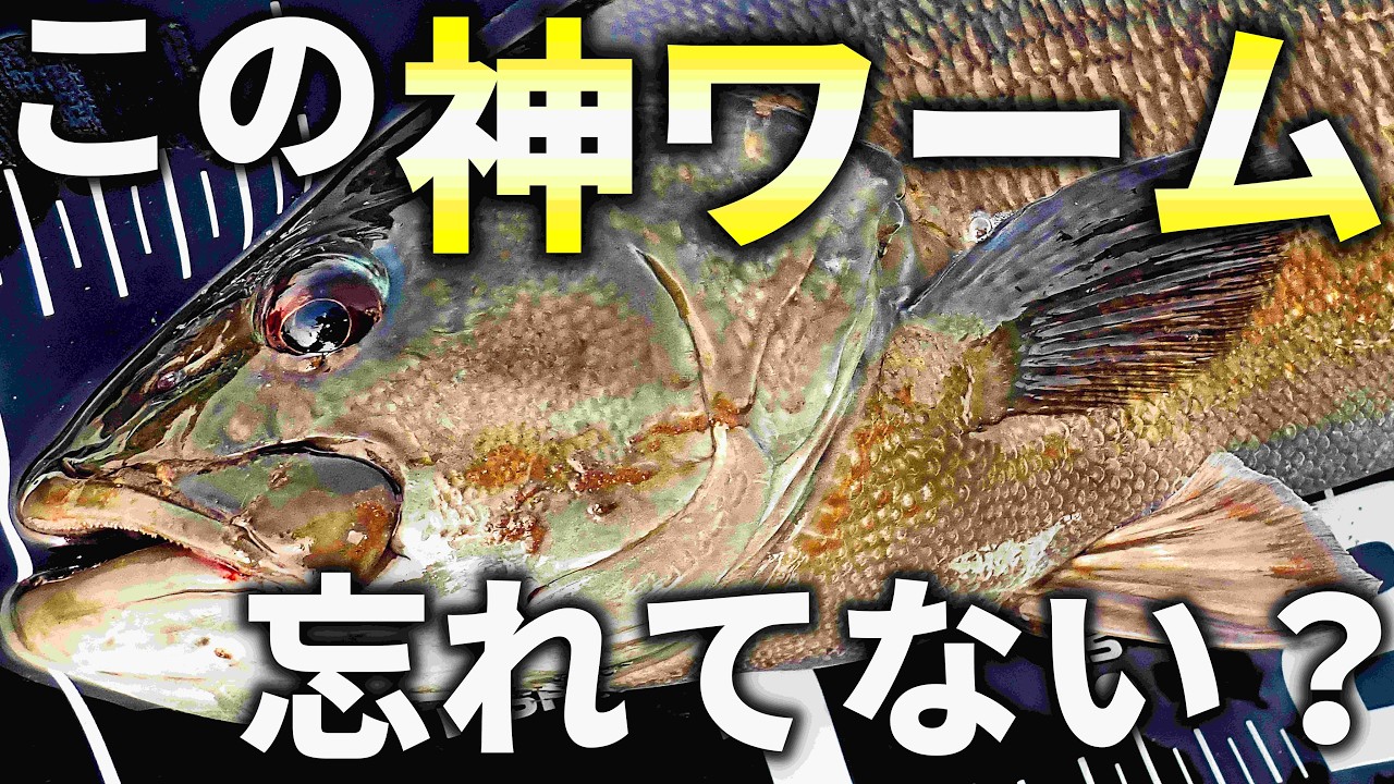 【化け物ワーム】忘れてない?釣れすぎて封印レベルの神ワームで天才バス完全攻略