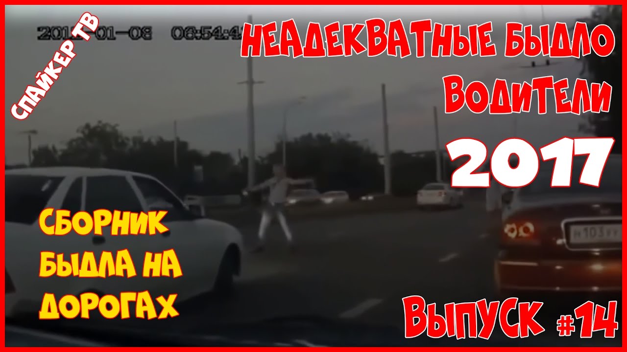 Почему водители бмв неадекватные
