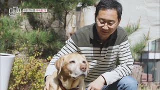 현명이와 함께 은퇴 생활을 즐기는 홍범 씨 [동물극장 단짝] | KBS 230506 방송
