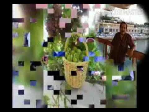 ناشد اسكندر غابت الشمس كلمات وألحان وغناء ناشد اسكندر