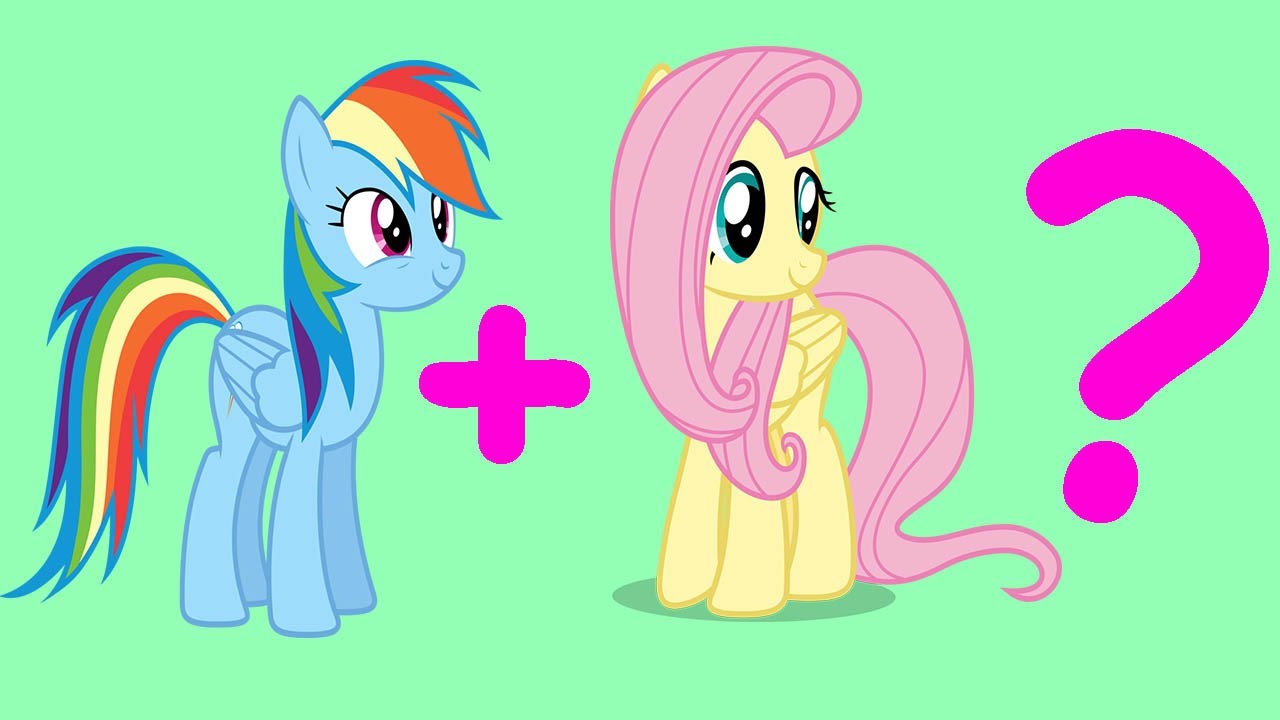 My Little Pony Fluttershy And Rainbow Dash