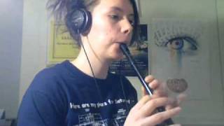 Video thumbnail of "Traditional Irish Tin Whistle Songs"