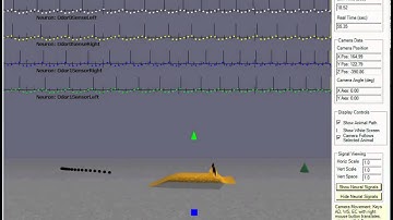 Near Equal Decision Test Using a Spiking Neural Network