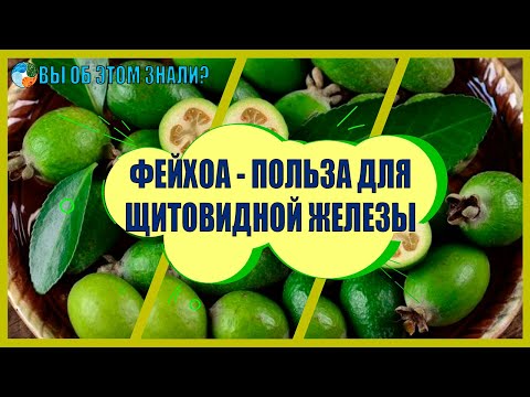 Фейхоа - польза для щитовидной железы