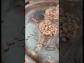 كل راس غنم بياله شعير