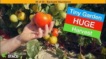 25 of 33 – Backyard Abundance – Tiny Garden, HUGE Harvest