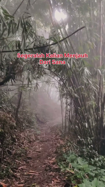 Hati-Hati Jika Bertemu Aden Aden Dihutan! #ytshorts #ceritahorrorstory #pendakigunung