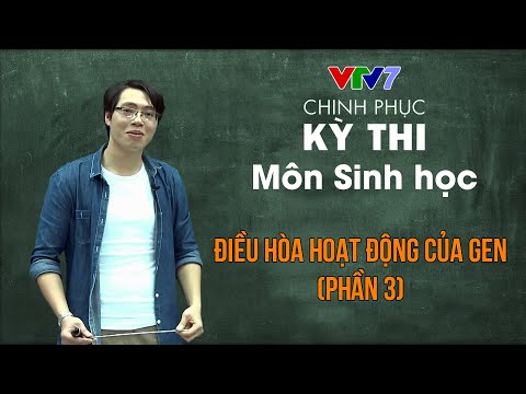 Video: Nguyên nhân nào gây ra đột biến nhân đôi?