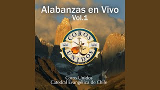 Video thumbnail of "Coros Unidos Catedral Evangélica de Chile - Mirad al Salvador (en vivo)"