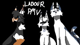 Labour OC PMV