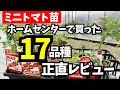【ミニトマト苗選び】ホームセンターで買った17品種「プロ農家が正直レビュー」