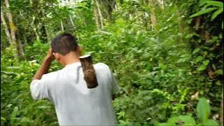 mencari umpan mancing sarang kararawai