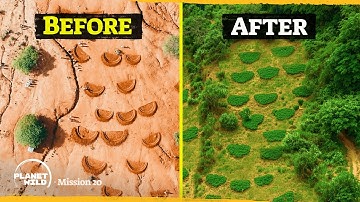 A genius way to restore dead soil